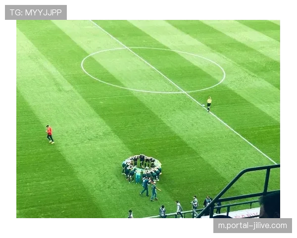 德甲俱乐部场馆升级计划，提升观赛体验